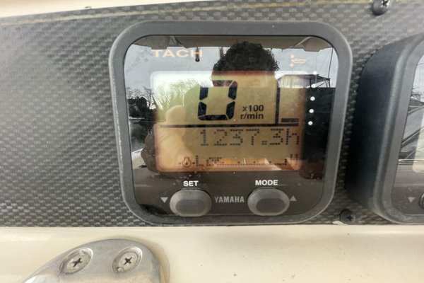 2006 Grady-White 306 Bimini