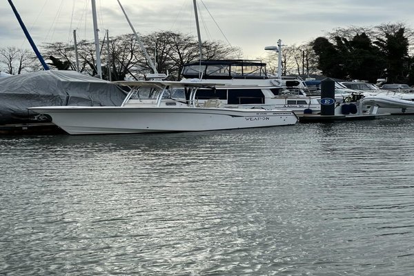 2006 Grady-White 306 Bimini