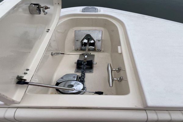 2006 Grady-White 306 Bimini