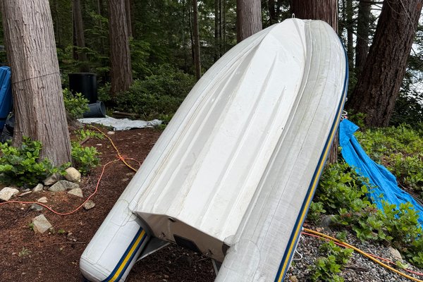 2019 Cutwater 