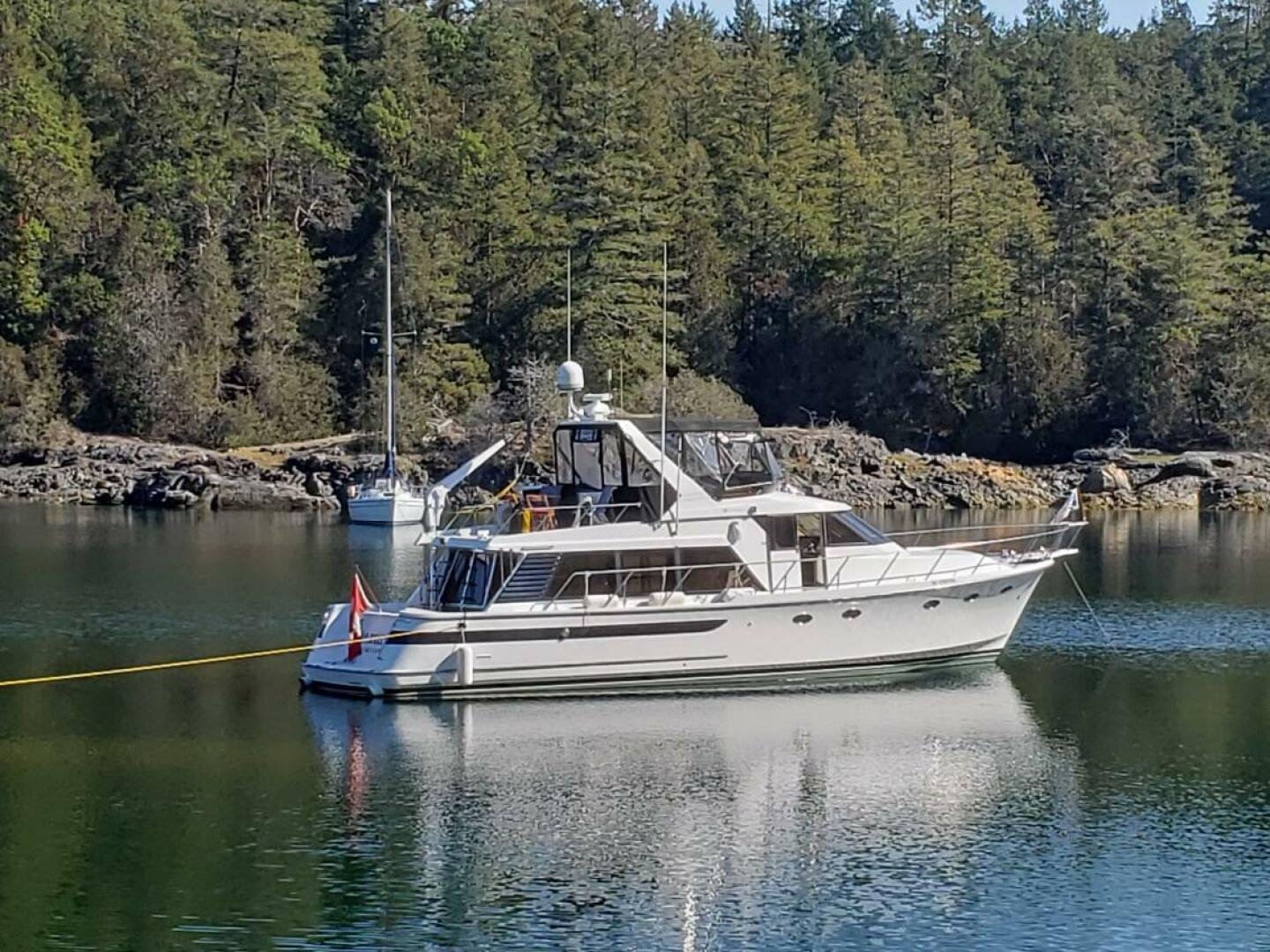 1991 Ocean Alexander null